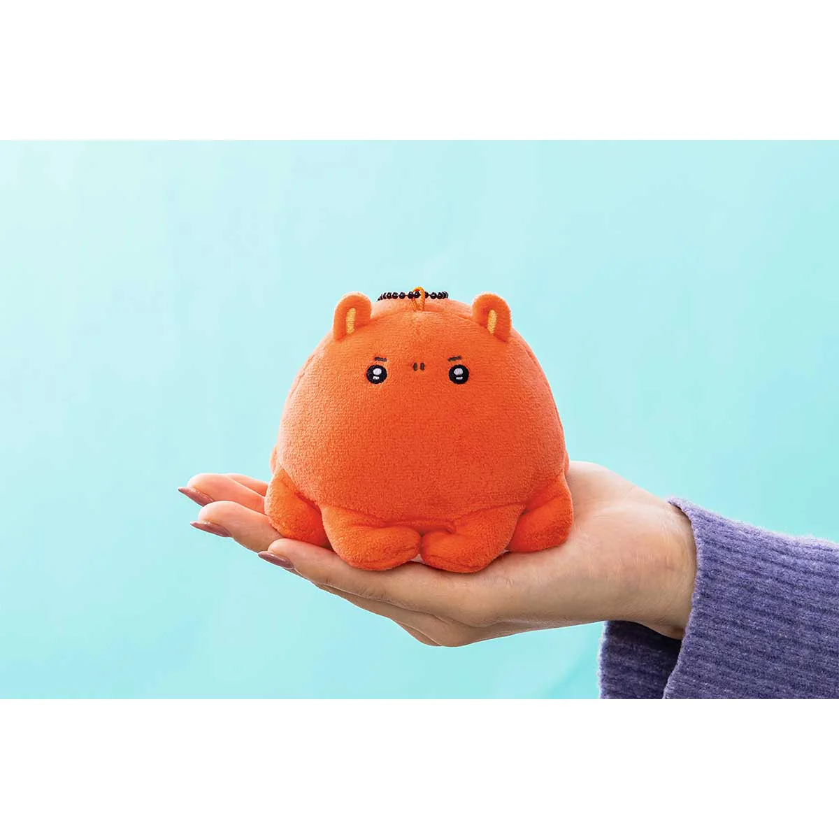 ナガノキャラクターズ ナガノの水族館 マスコット（カワウソ） - Image 6