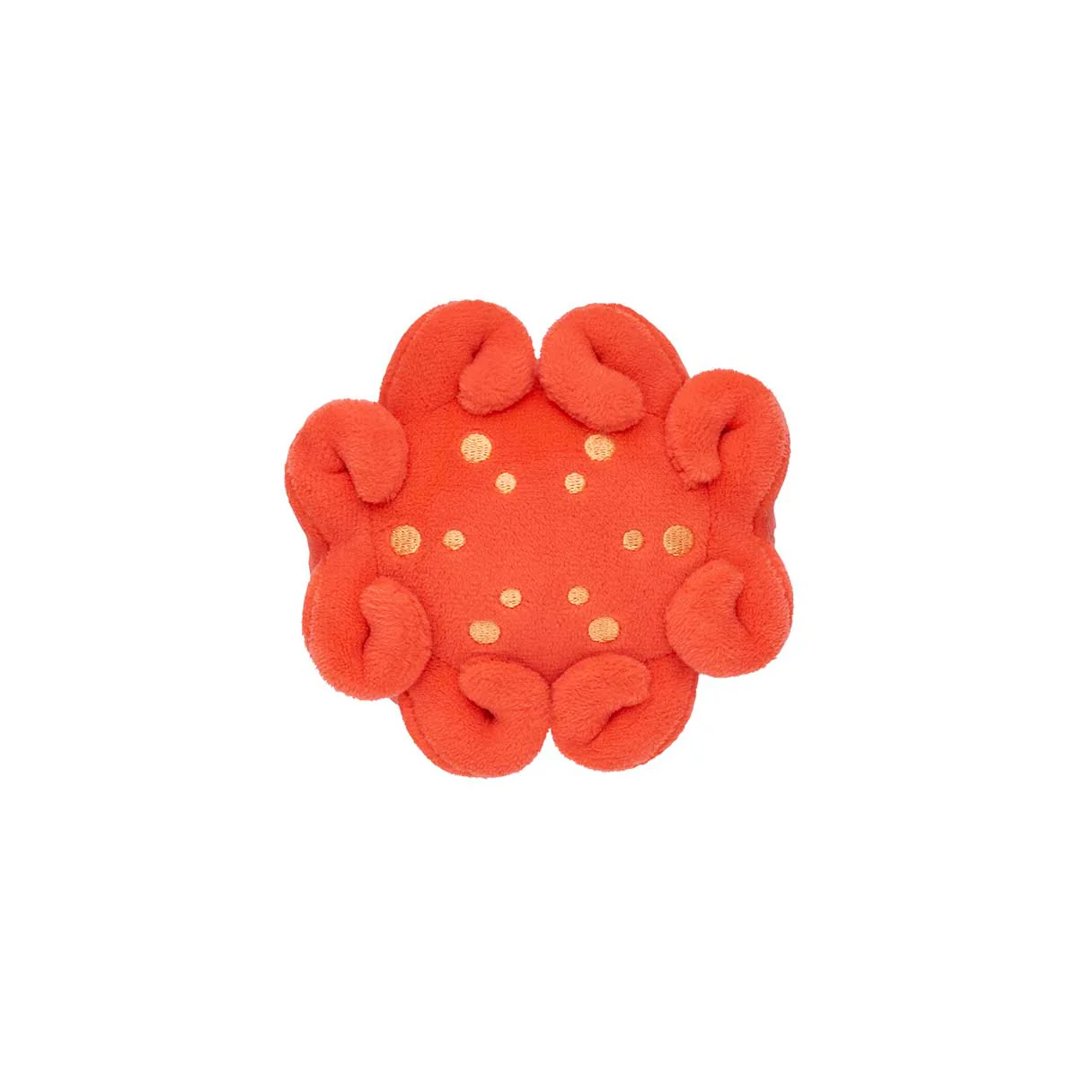 ナガノキャラクターズ ナガノの水族館 マスコット（メンダコ） - Image 11