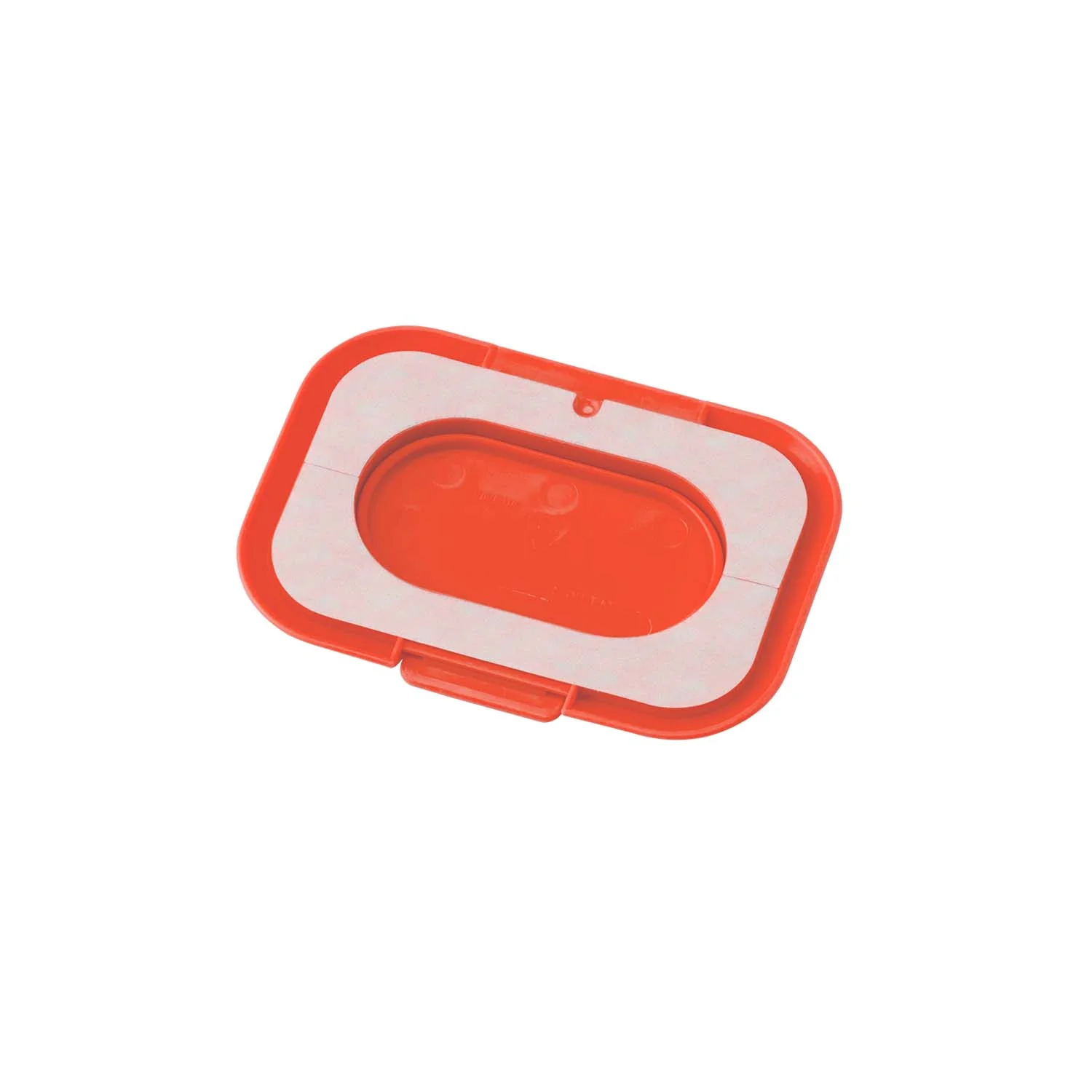 ナガノのくま ビタットミニ - Image 4